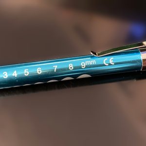 Pupil Torch - Teal