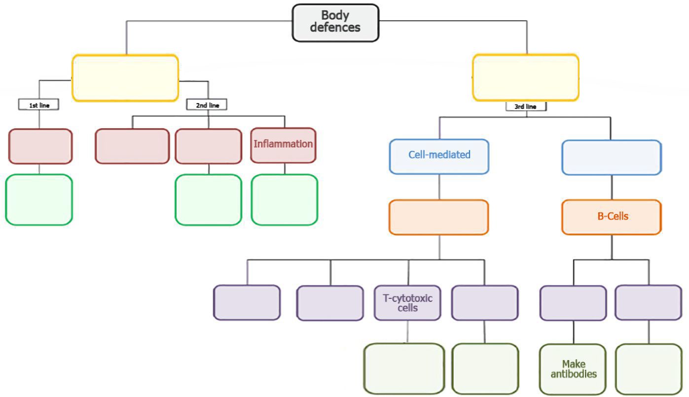 Body defences map with empty boxes for drag-and-drop labels